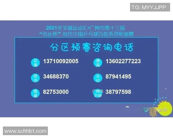 重庆排球队杯赛表现分析团队配合与战术执行的深度解读